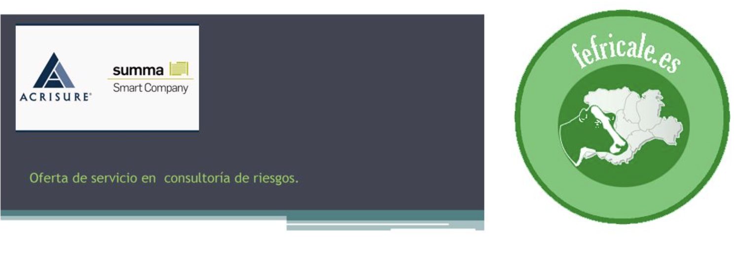 SUMMA INSURANCE PARA FEFRICALE
