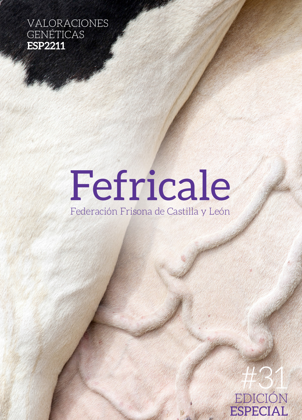 Portada Revista Fefricale Nº 31 - Marzo 2023