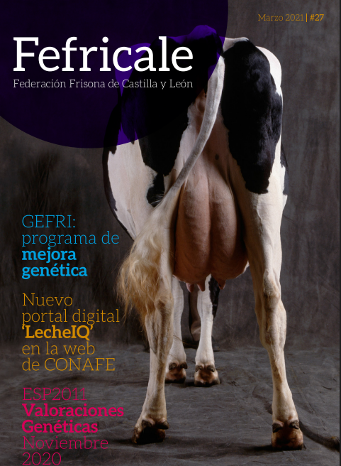 Portada FEFRICALE N° 27