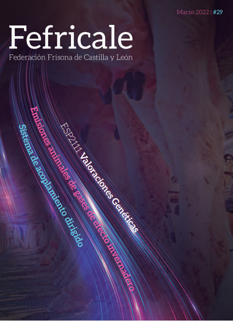 Portada FEFRICALE N° 29