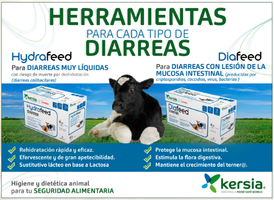 Publicidad 3