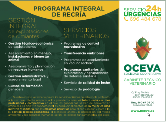 Publicidad 4