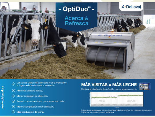 Publicidad 5