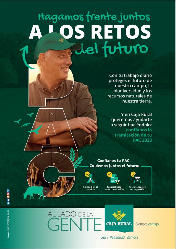 Publicidad 2