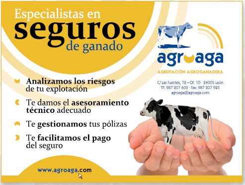 Publicidad 3