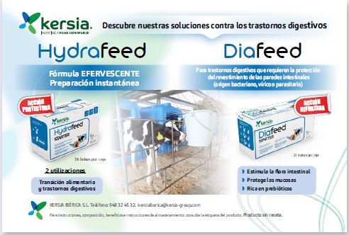 Publicidad 4