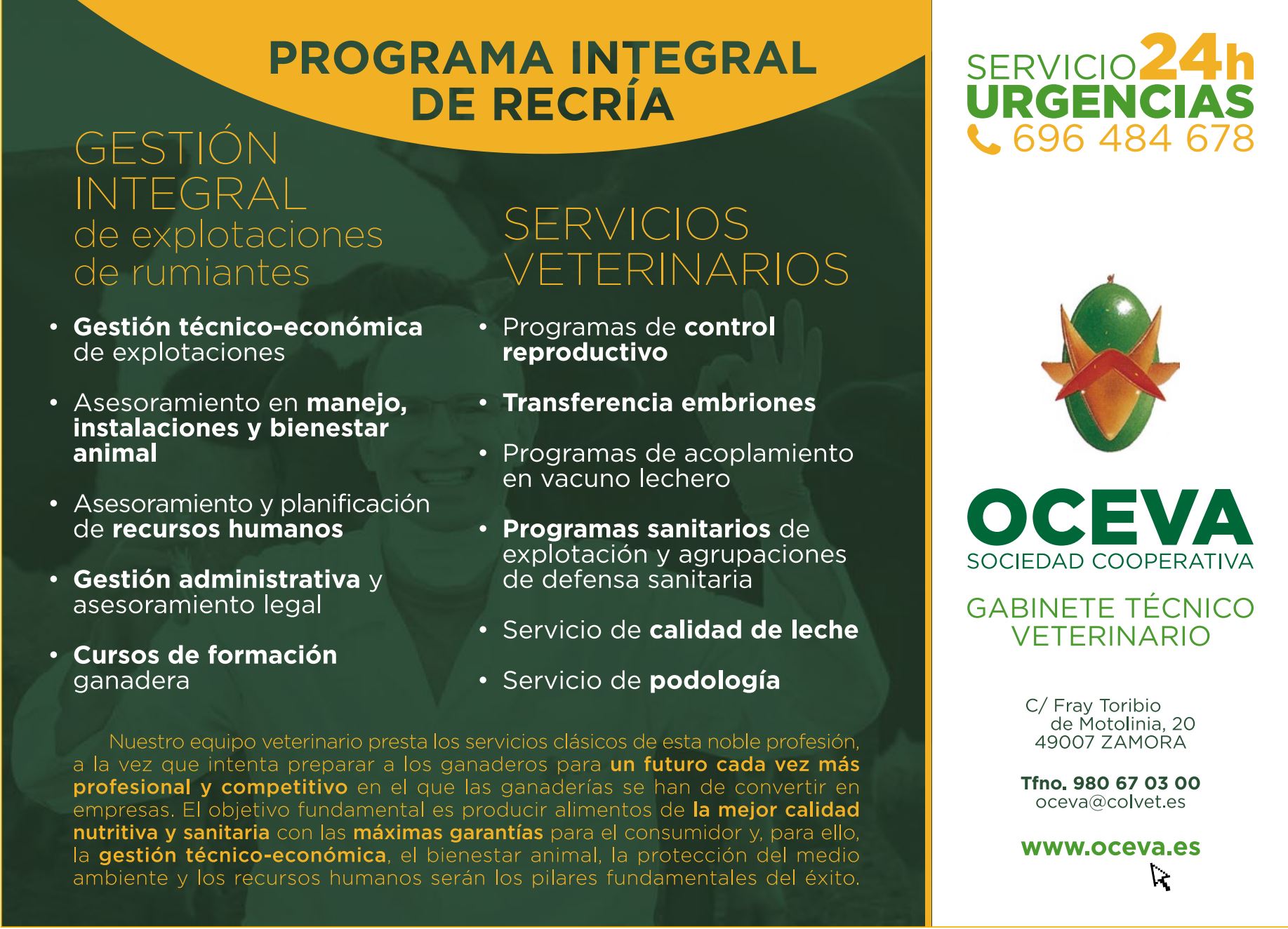 Publicidad 2