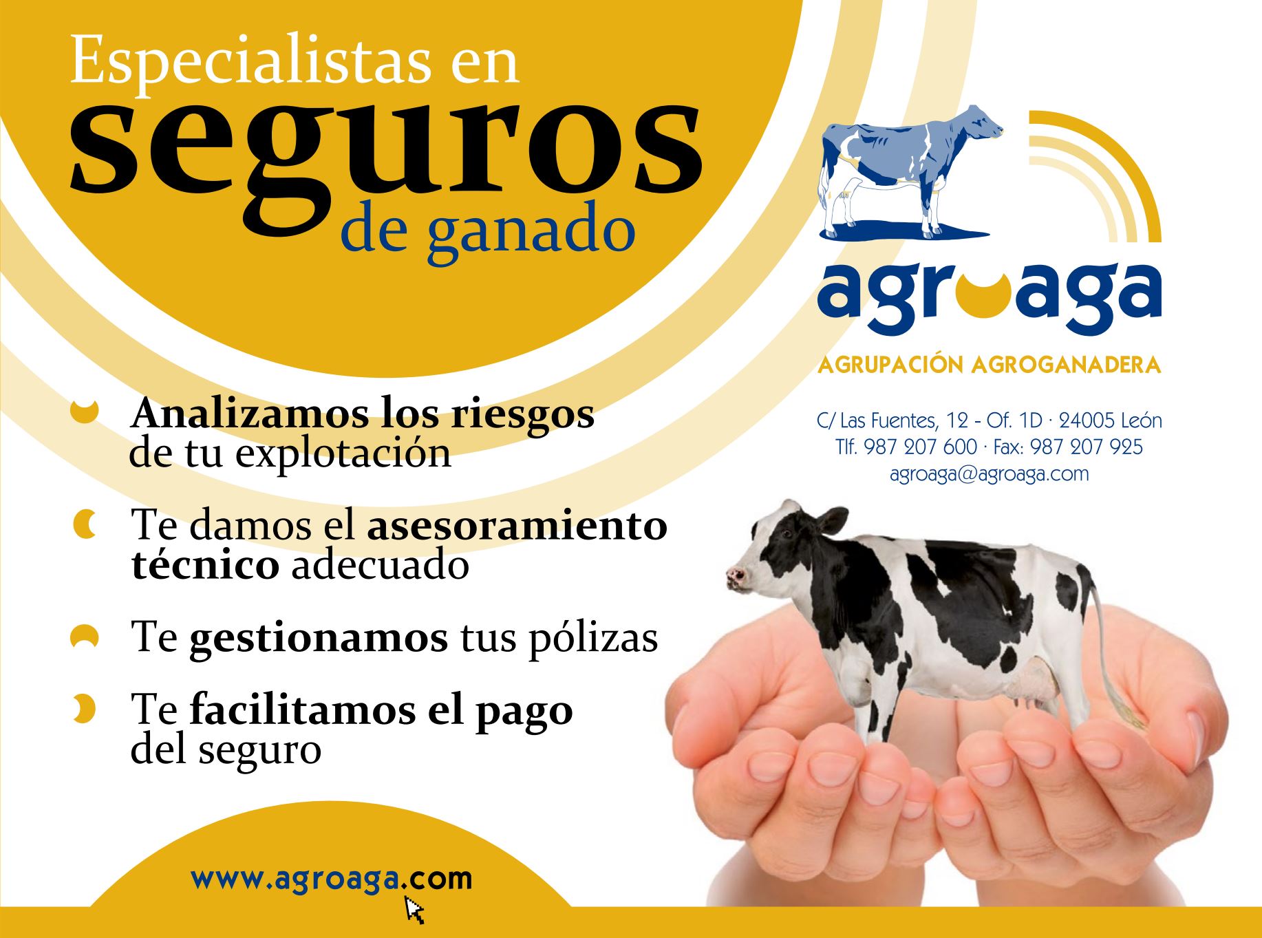 Publicidad 4