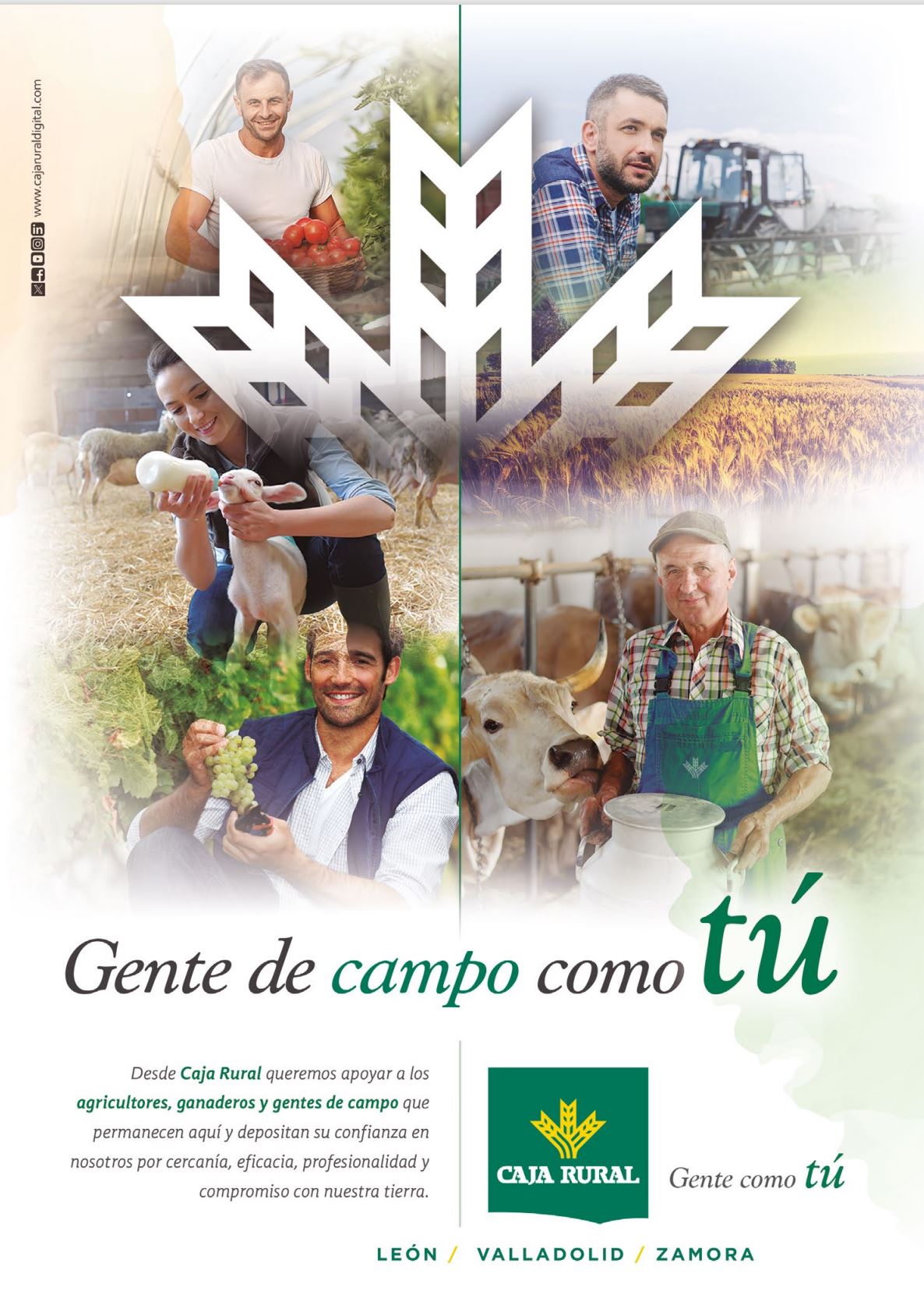 Publicidad 6
